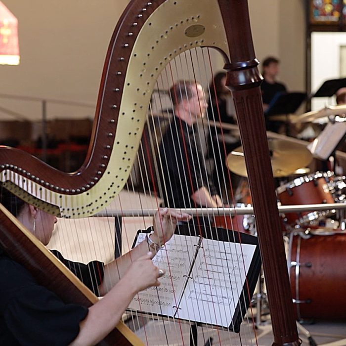 Harp-linear-light Harp-linear-light
